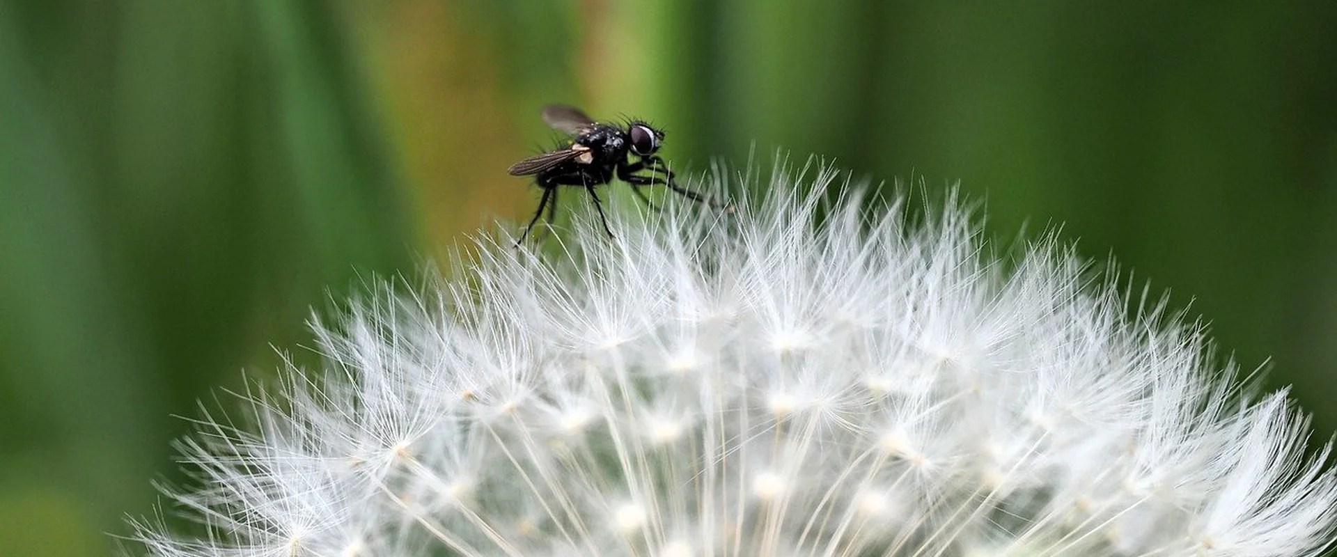 壹号娱乐娱乐平台