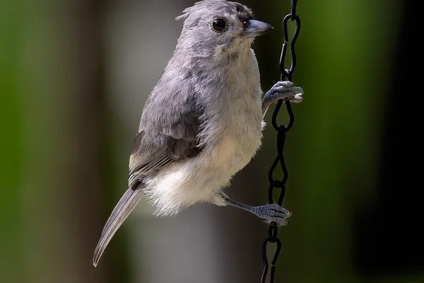 壹号娱乐真人娱乐